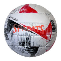 Мяч волейбольный Sportex E39980 р.5