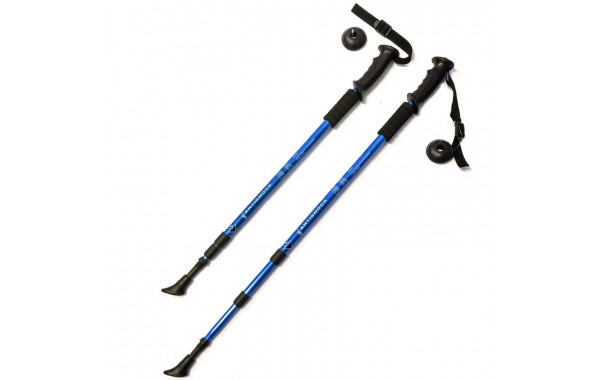 Палки для скандинавской ходьбы телескопическая, 3-х секционная Sportex F18433 синий 600_380