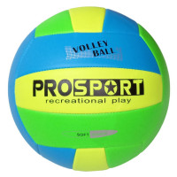 Мяч волейбольный Sportex E40006-2 р.5