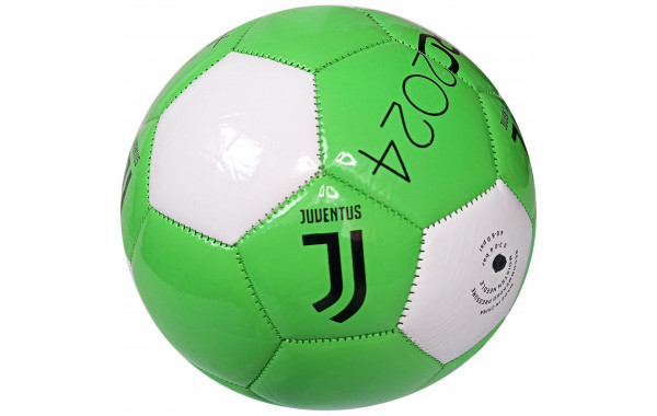 Мяч футбольный Sportex Juventus E40759-3 р.5 600_380