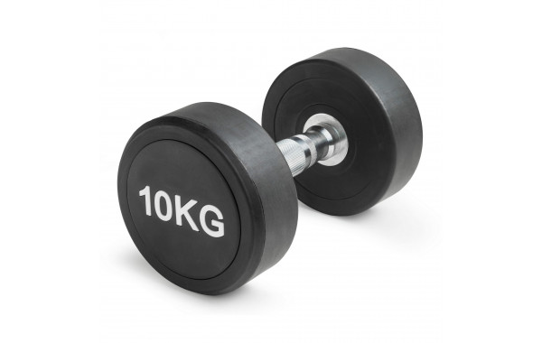 Гантель неразборная круглая 10 кг VictoryFit VF-R100 600_380