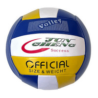 Мяч волейбольный Sportex E40003 р.5