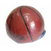 Баскетбольный мяч DFC BALL7P р.7 75_75