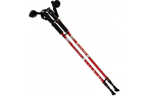 Палки для скандинавской ходьбы 2-х секционные с чехлом (красные) R18140-PRO 600_380