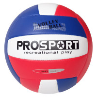 Мяч волейбольный Sportex E40006-1 р.5