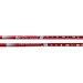 Палки для скандинавской ходьбы 2-х секционные с чехлом (красные) R18140-PRO 75_75