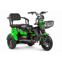 Пассажирский трицикл RuTrike Бумеранг 022656-2342 зеленый