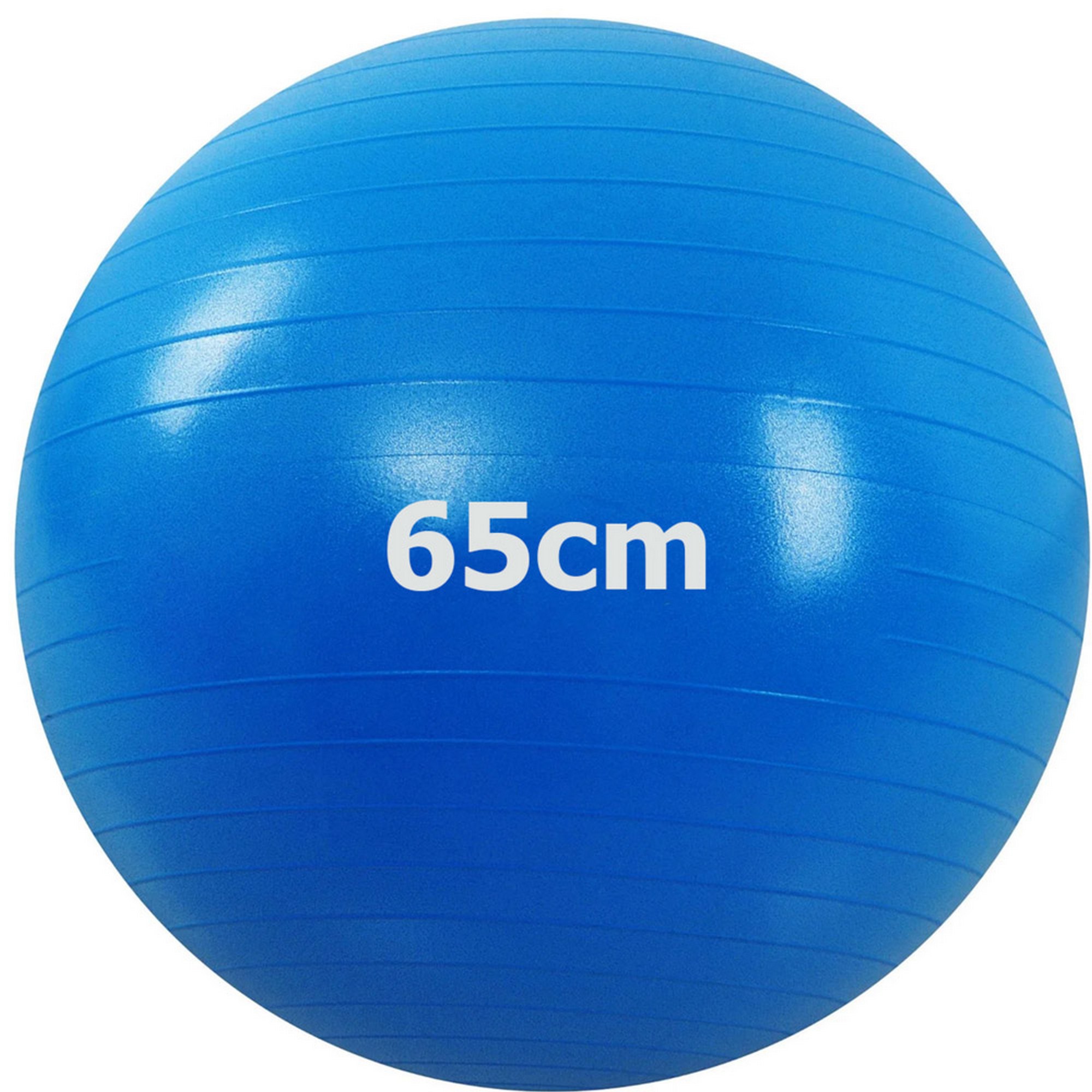Мяч гимнастический Anti-Burstl d65 см Sportex GMA-65-B синий 2000_2000