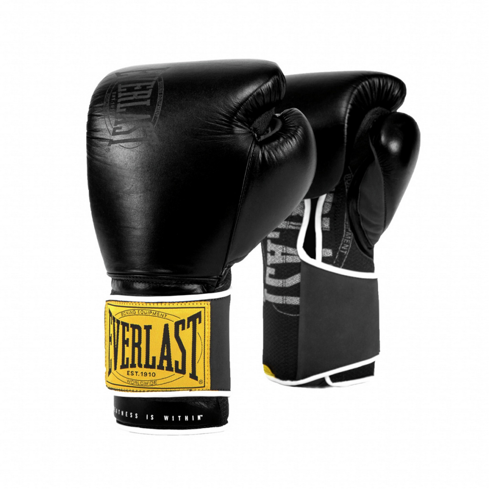 Перчатки тренировочные Everlast 1910 Classic 10oz P00001709-10 черный 2000_2000