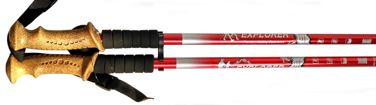 Палки для скандинавской ходьбы телескопическая, 2-х секционная R18142-PRO красный 1200_335