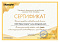 Сертификат на товар Мат №4 100х100х10см Kampfer Black, винилискожа, черно-желтый (складной)